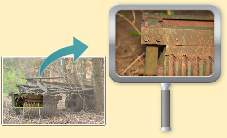 Lösung Fotorätsel 245