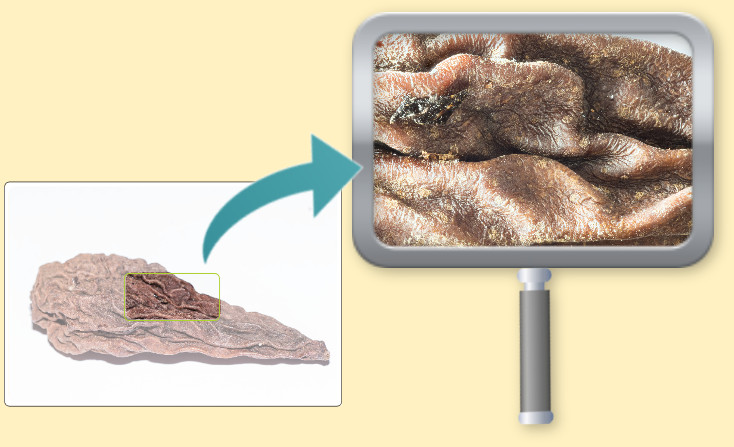 Lösung Fotorätsel 52