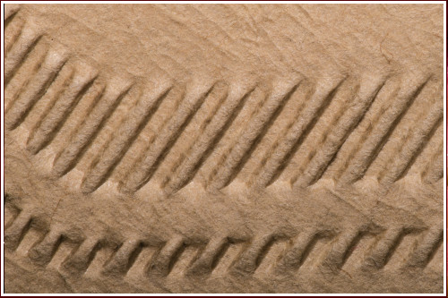Fotorätsel 83